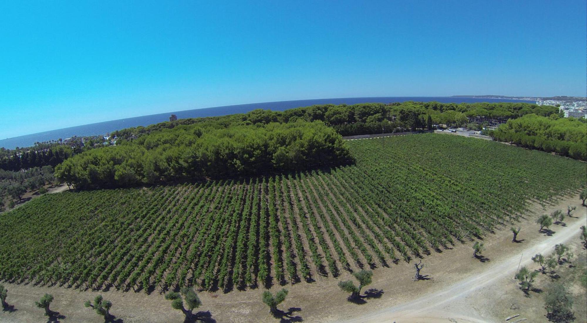 Tenuta Doxi Gallipoli Exterior photo