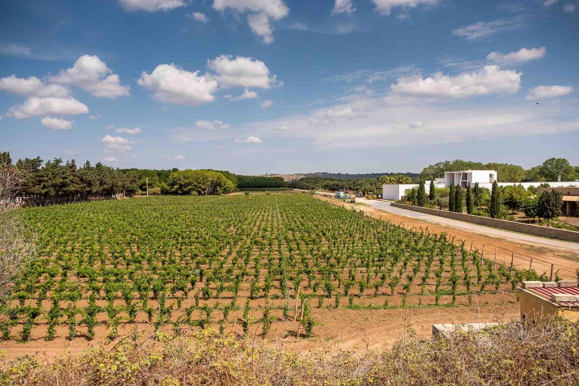 Tenuta Doxi Gallipoli Exterior photo