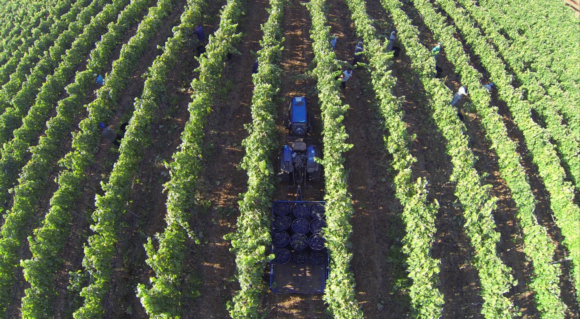 Tenuta Doxi Gallipoli Exterior photo